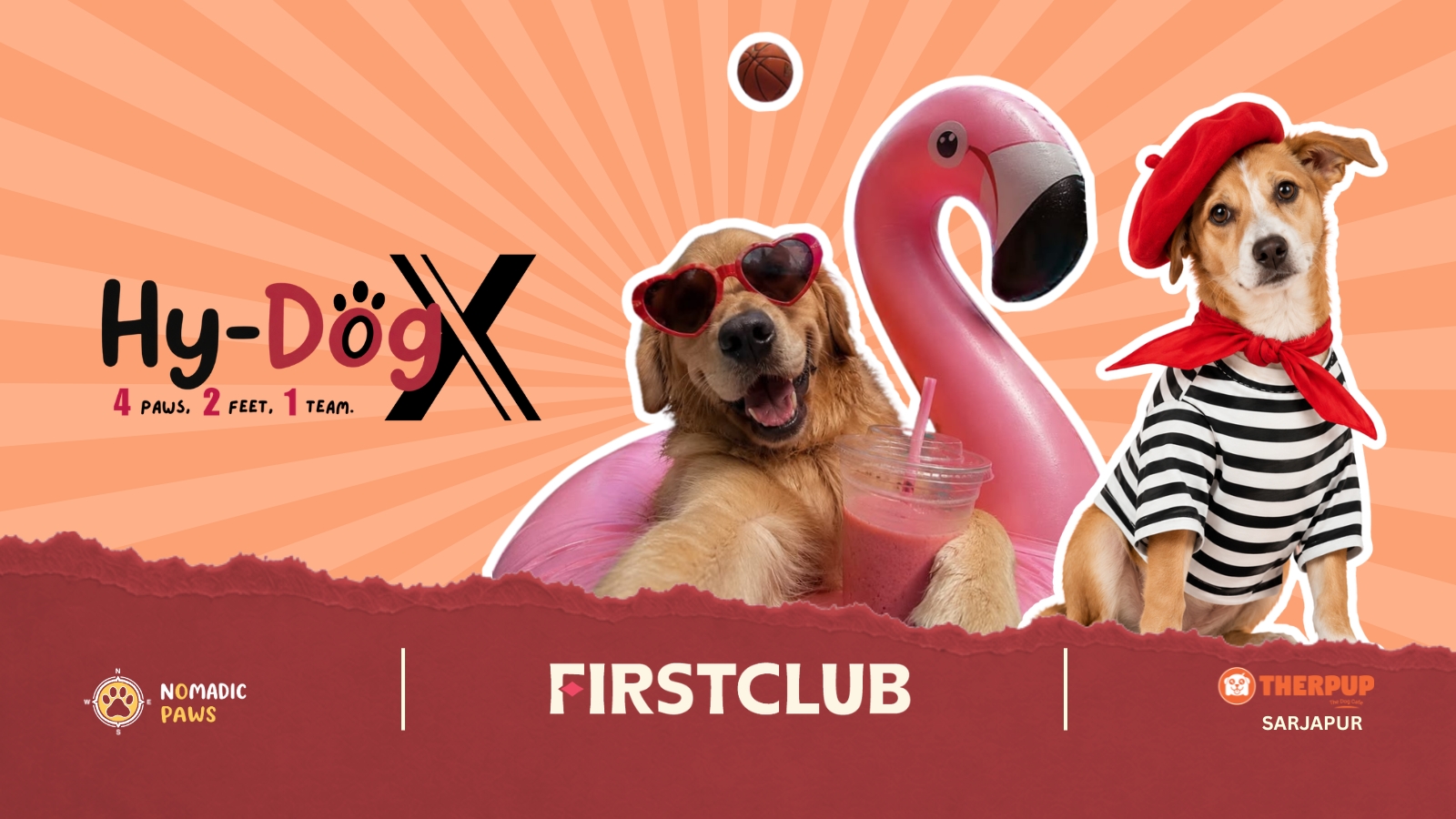 Hy-DogX Paw Party
