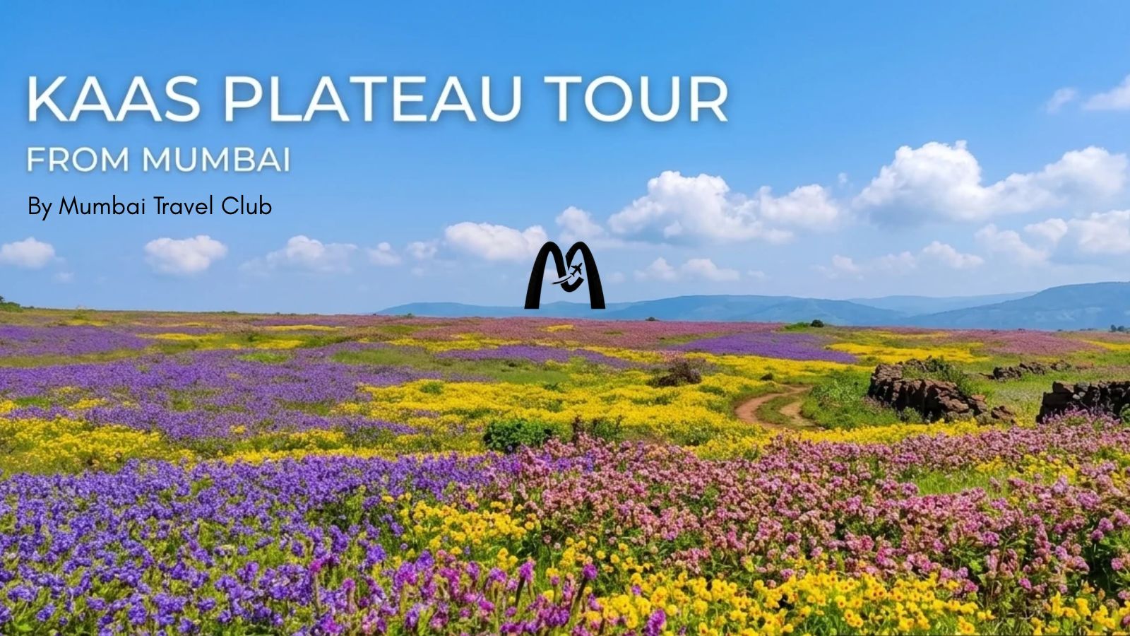 Kaas Plateau Tour from Mumbai - Kaas Pathar Trip by Mumbai Travel Club