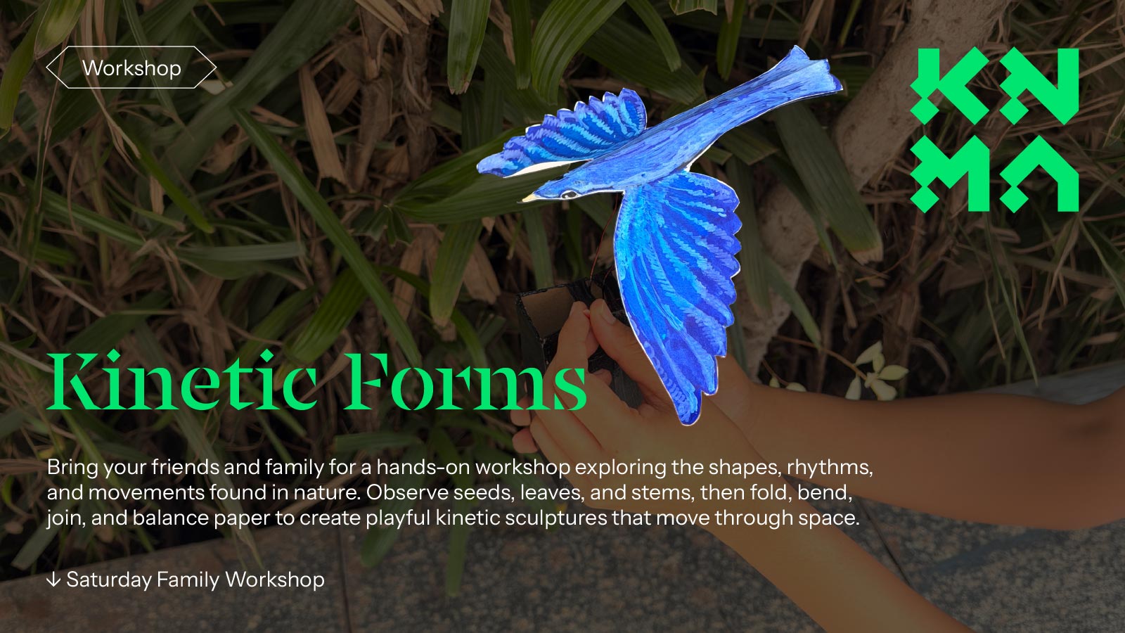 Kinetic Forms