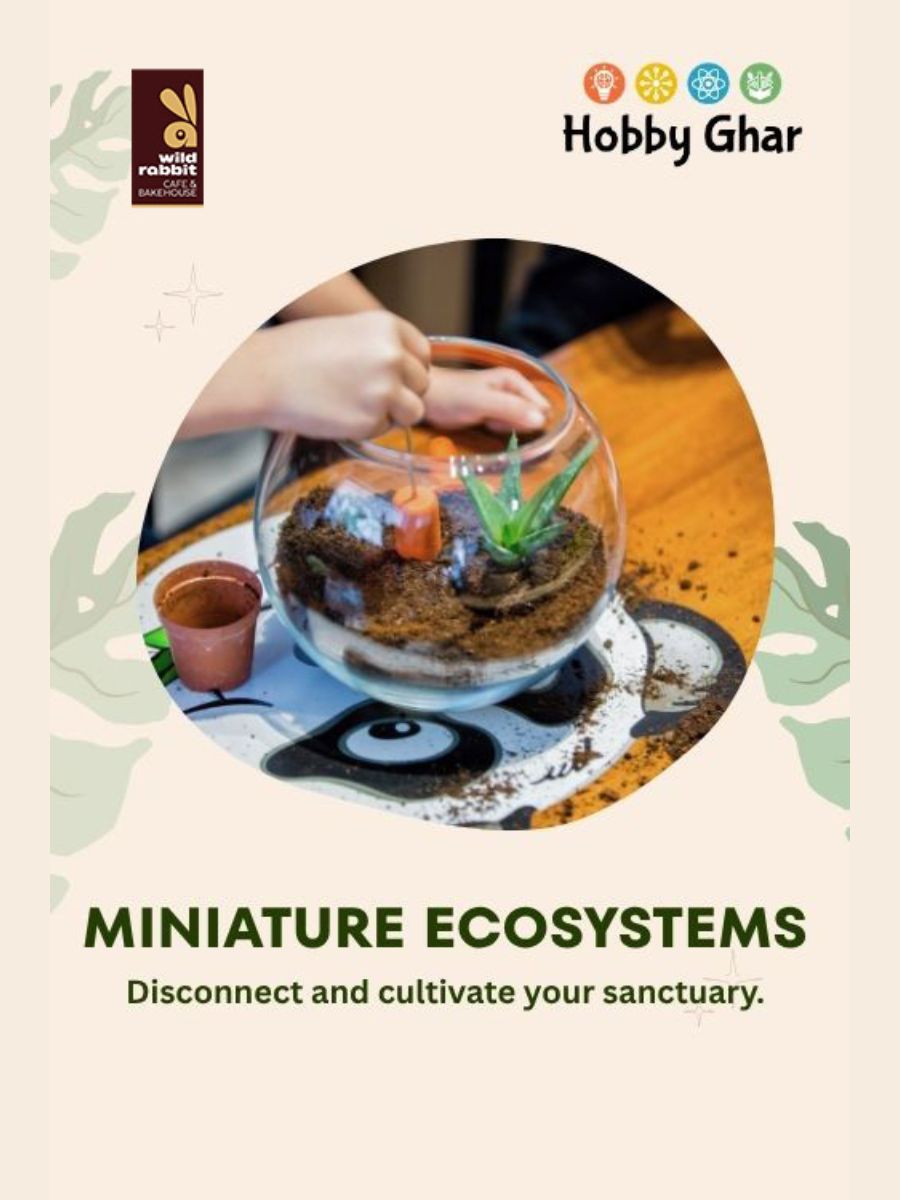 Build Your Green World: Terrarium Workshop