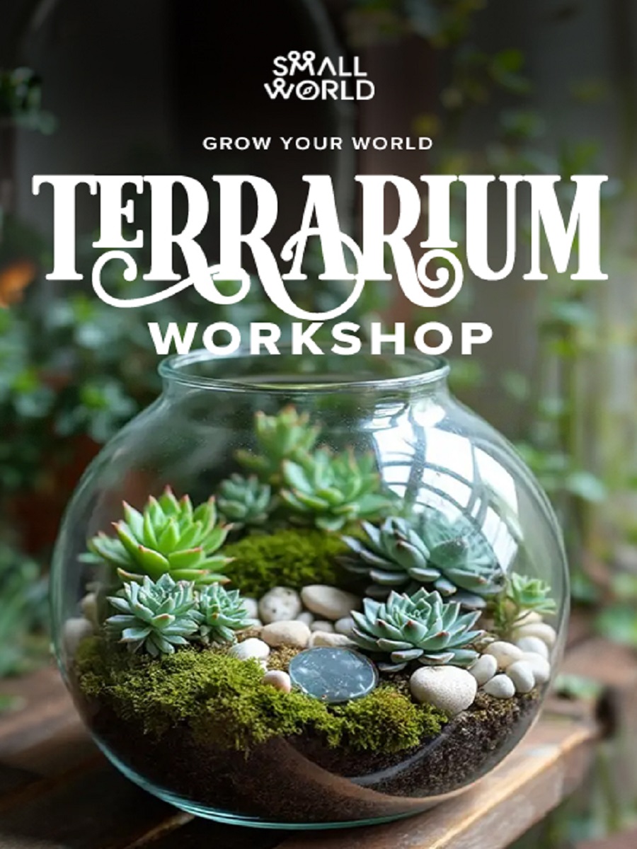 DIY Terrarium Workshop