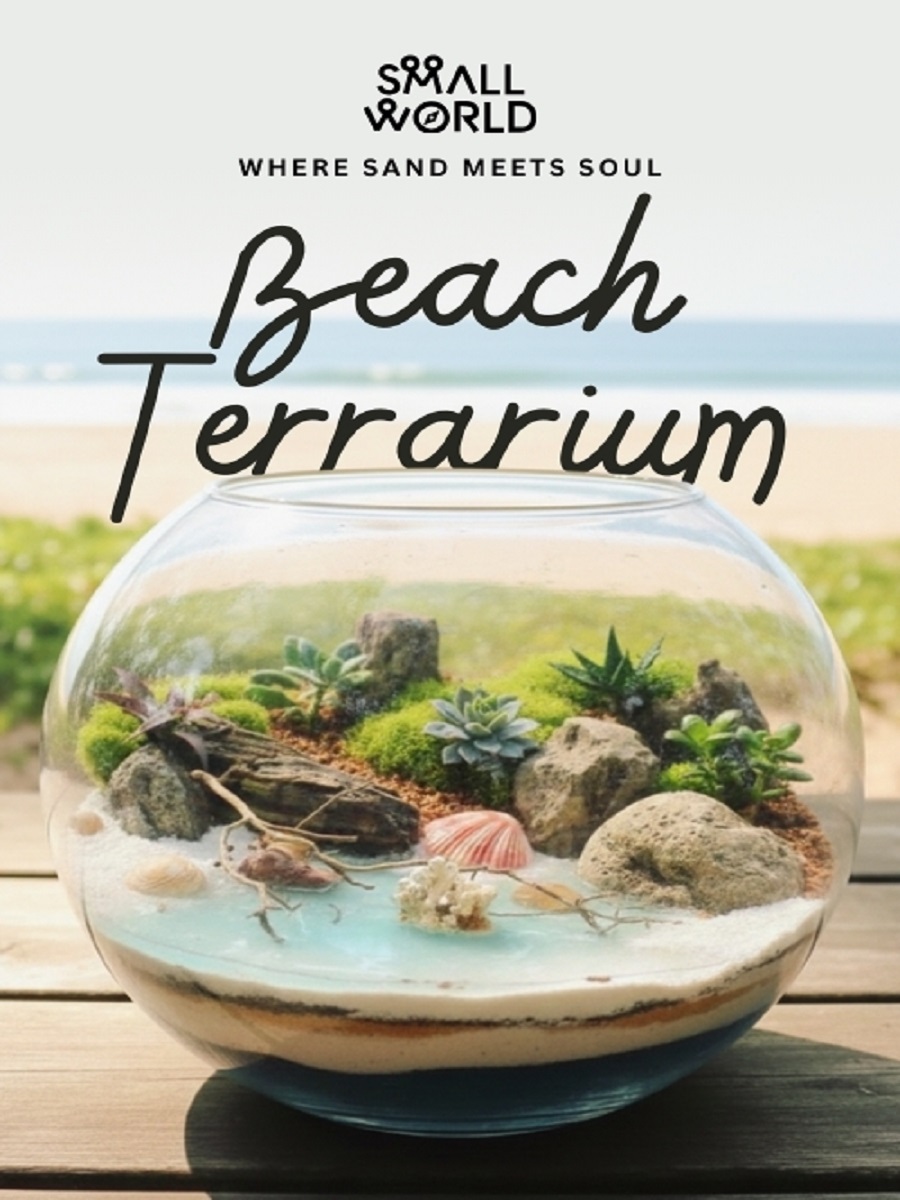 Beach Terrarium