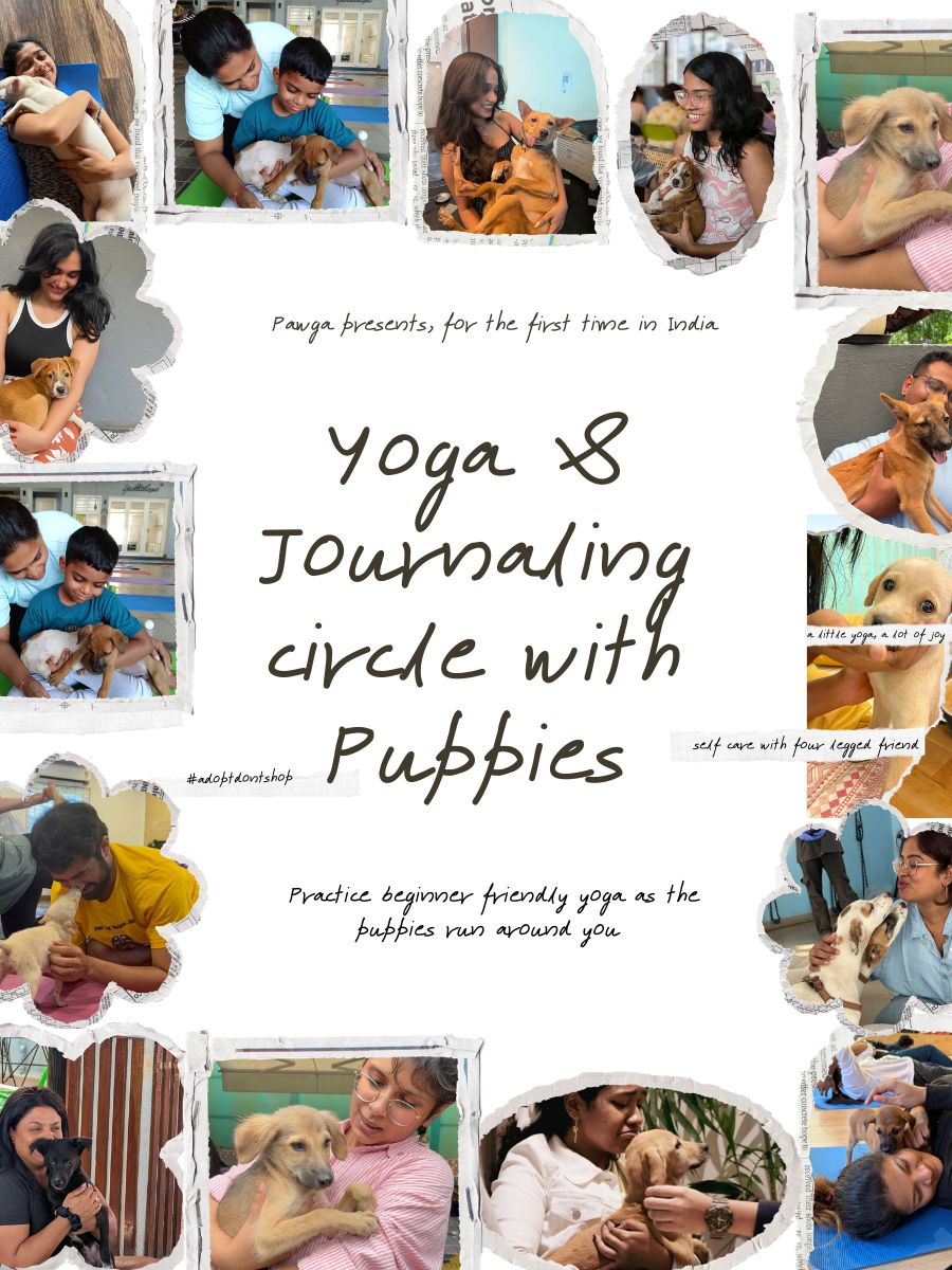 Puppy Yoga & Journalling Circle at Treehouse, Indiranagar