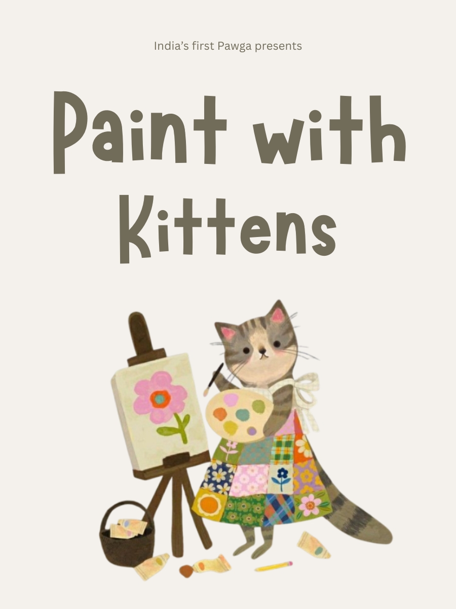 Paint with Kittens | Mleko, Makarba