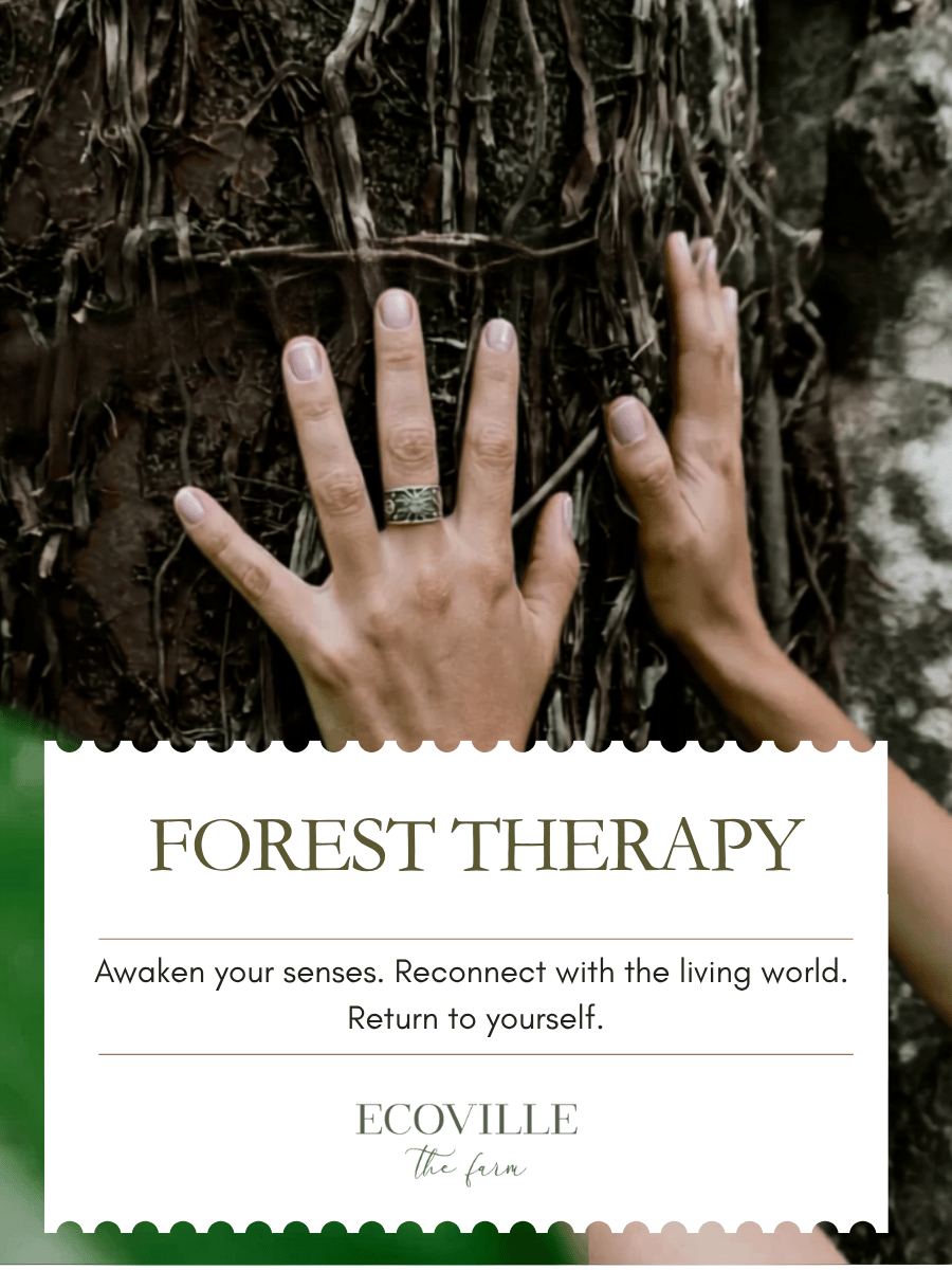 Forest Therapy