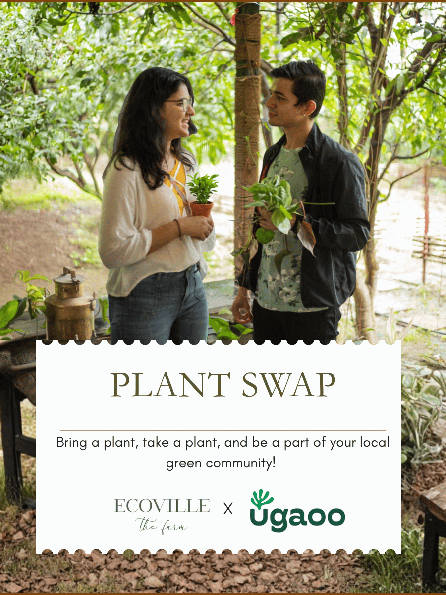 Pune Plant Swap 2026