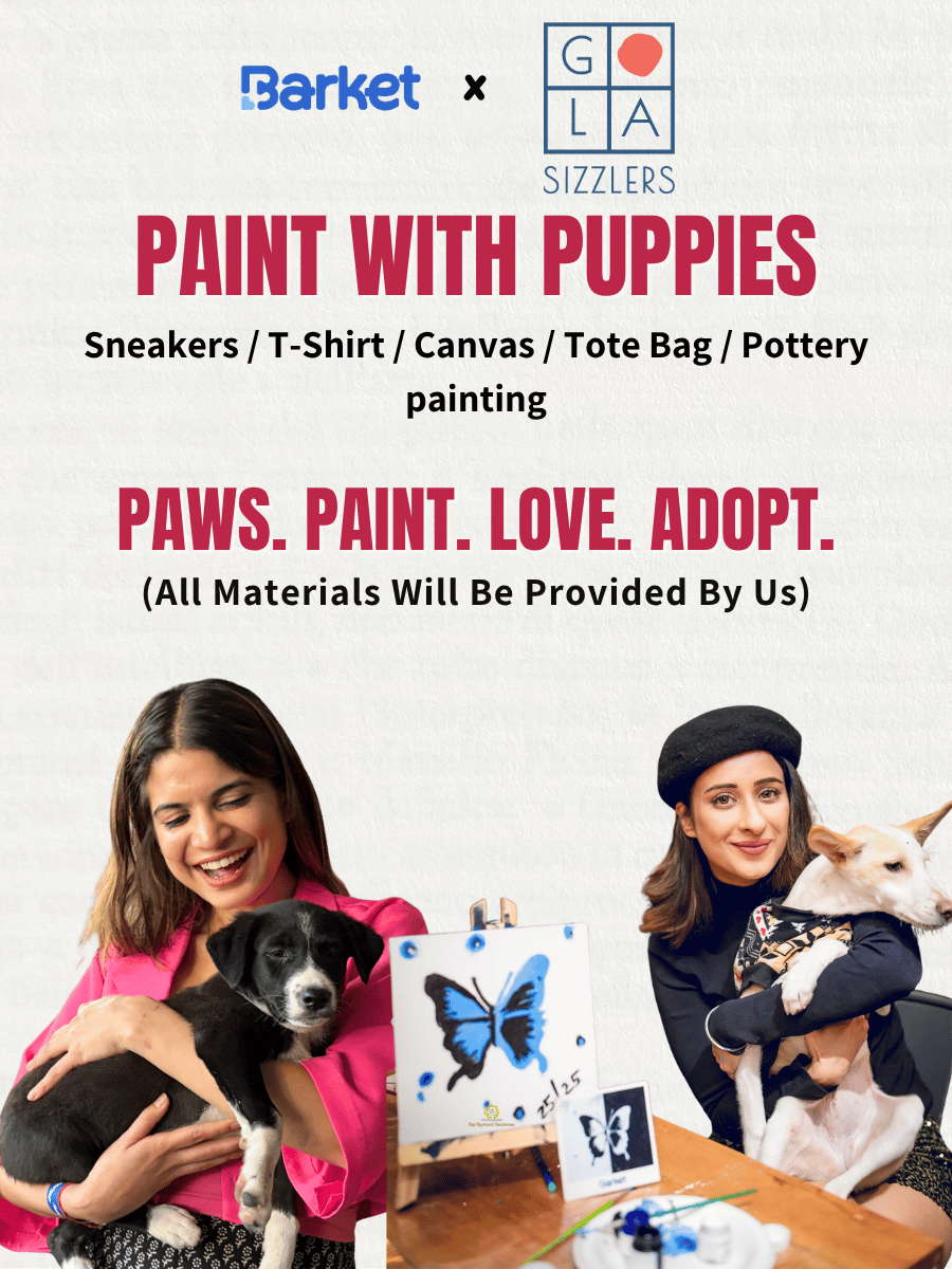 Paint with Puppies by Barket
