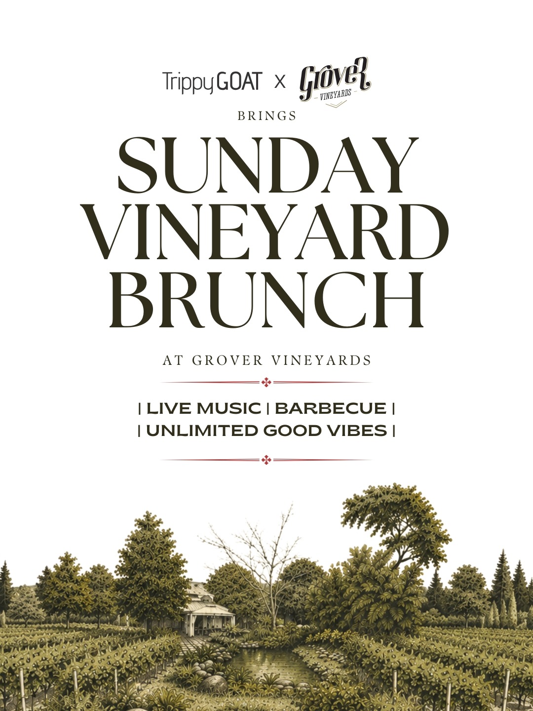 Sunday Vineyard Brunch