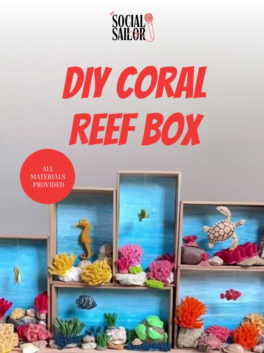 DIY Coral Reef - Ahmedabad