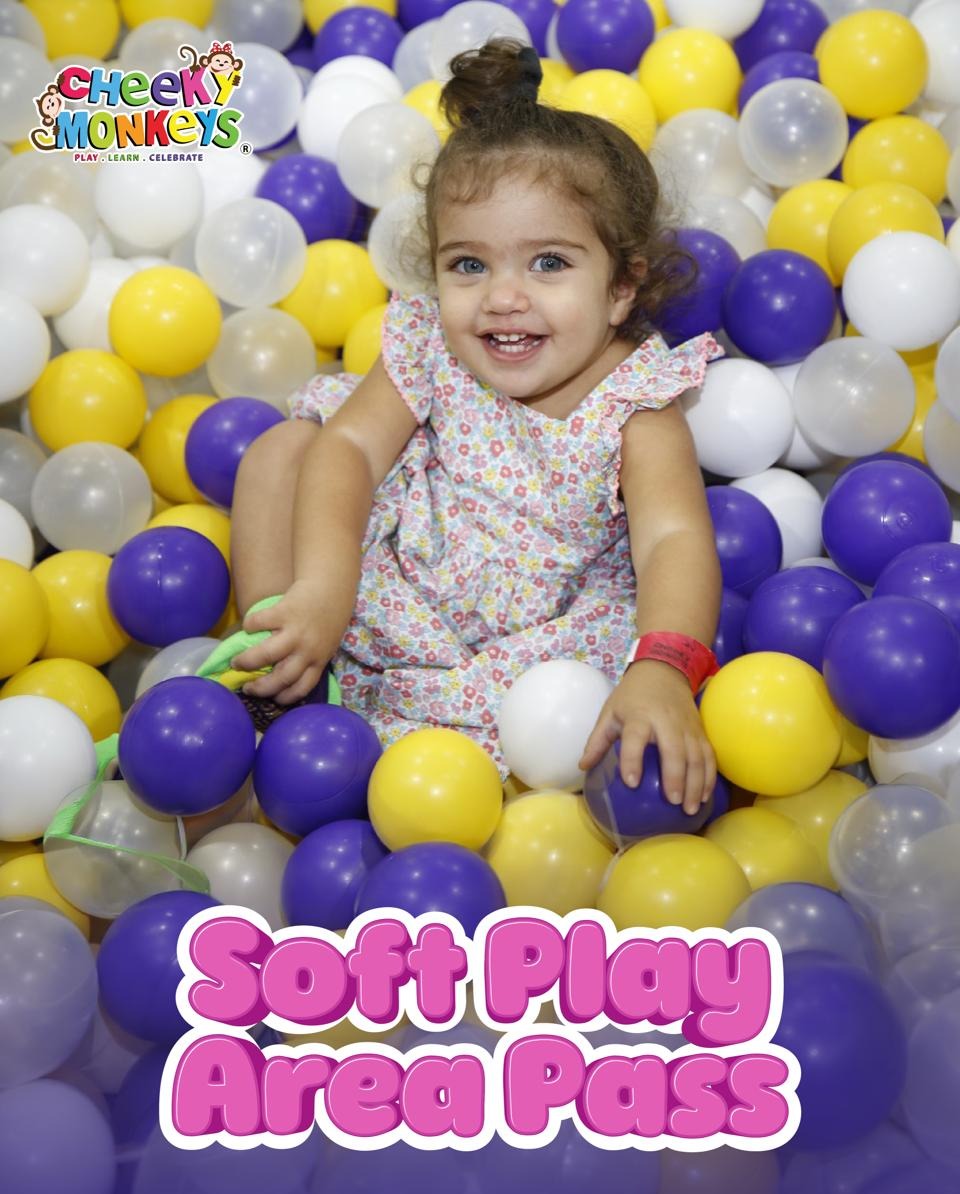 Cheeky Monkeys Soft Play | Downtown
