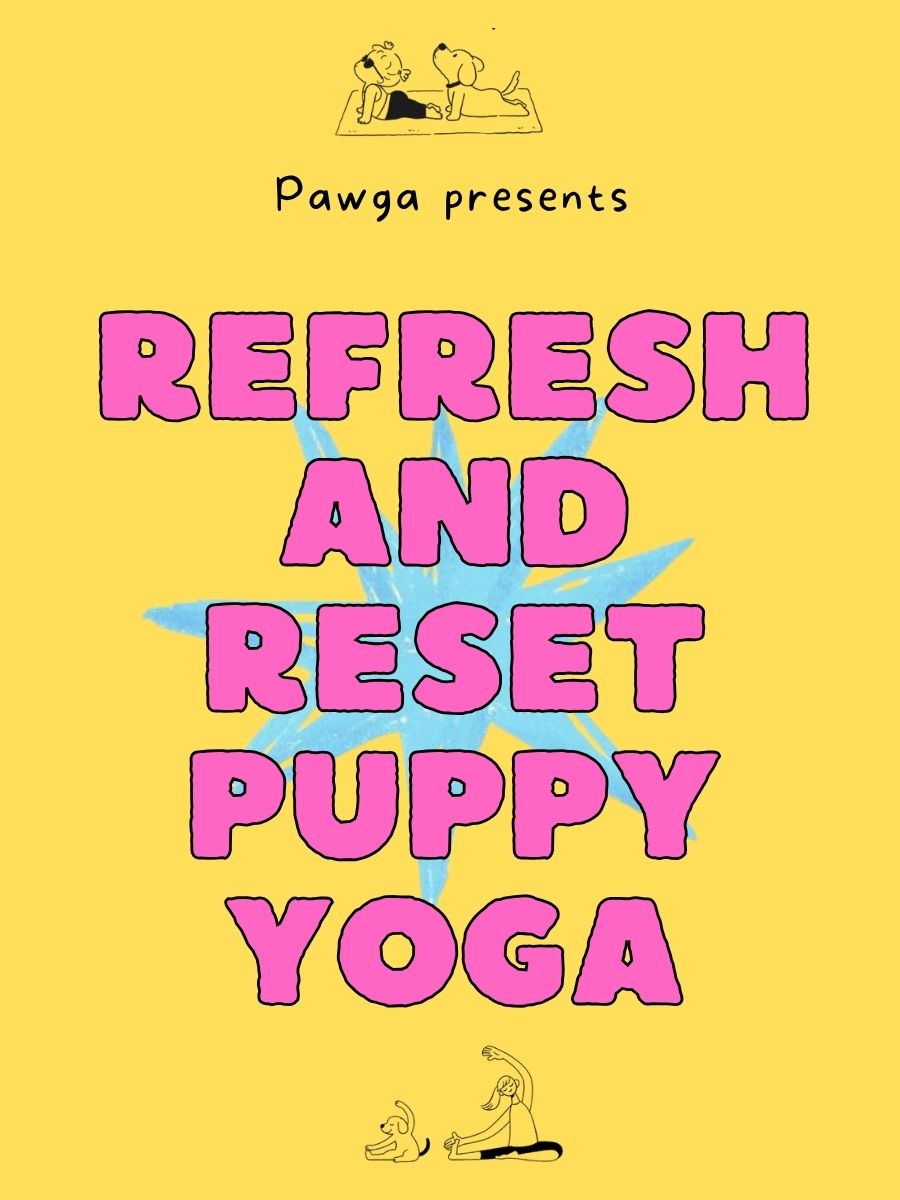 Pawga's Refresh and Reset Puppy Yoga at The Corner Company
