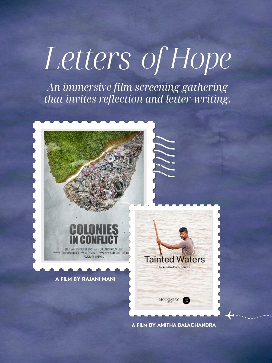 Screening of Letters of Hope: Finding Common Ground