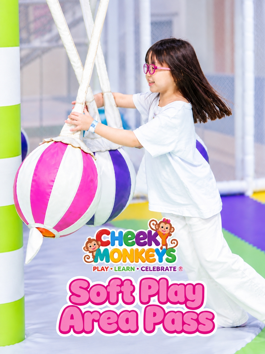 Cheeky Monkeys Soft Play | The Leisure Centre