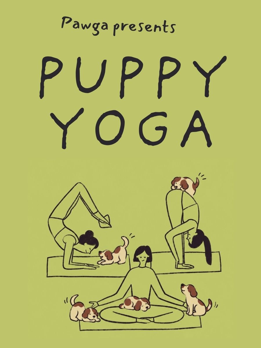 Pawga's Yoga with Puppies at Blissful Monkey Studio - Ballygunge