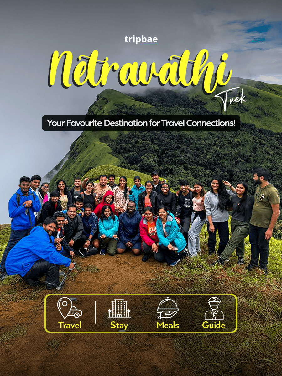 Netravati Peak Trek by Tripbae
