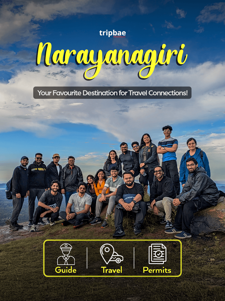 Narayanagiri Sunrise Trek by Tripbae