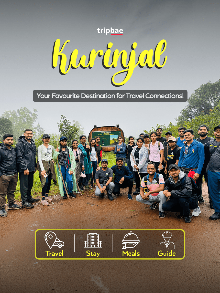 Kurinjal Peak Trek by Tripbae