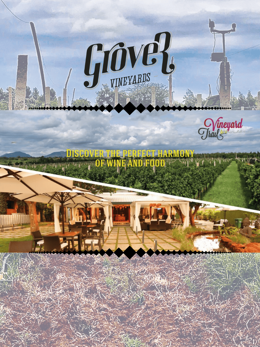 Grovers Vineyard Tour & Tasting