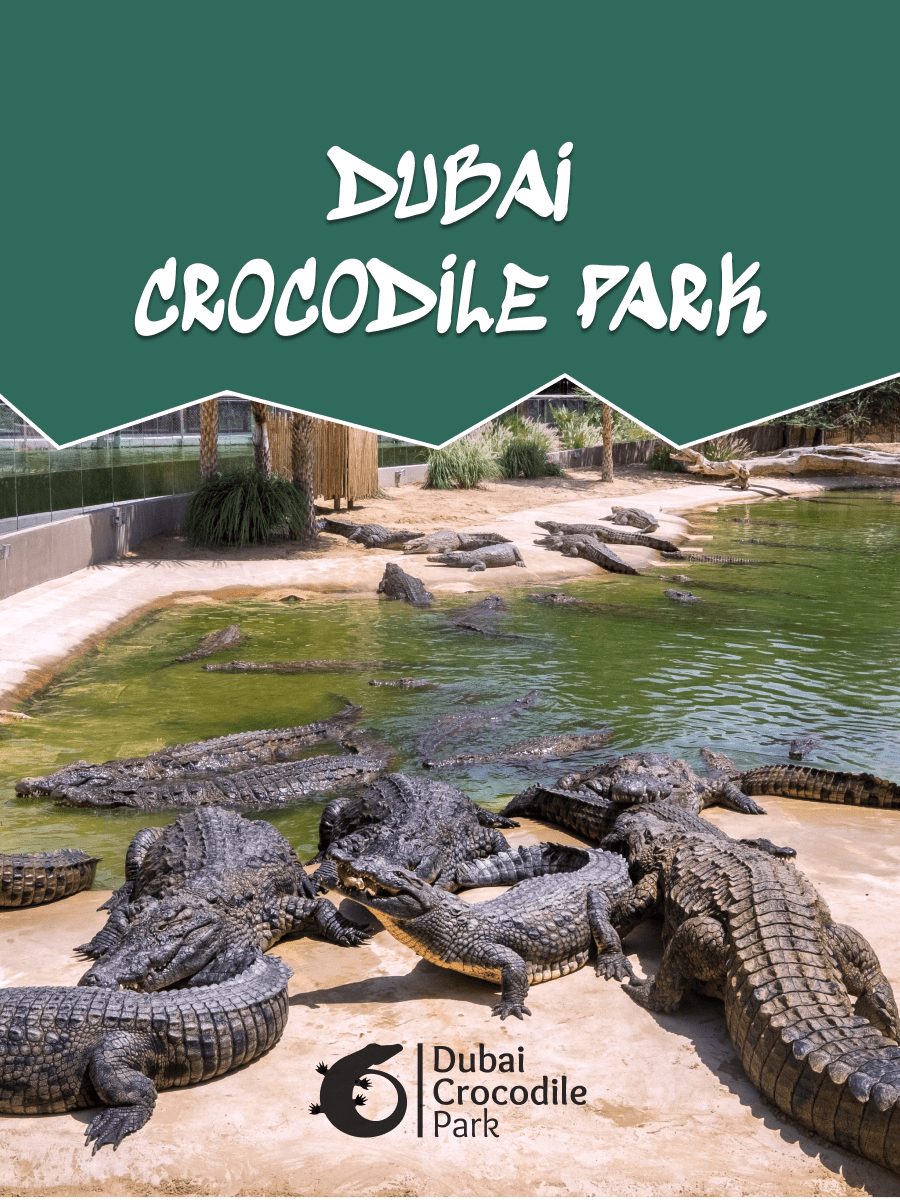 Dubai Crocodile Park - General Admission