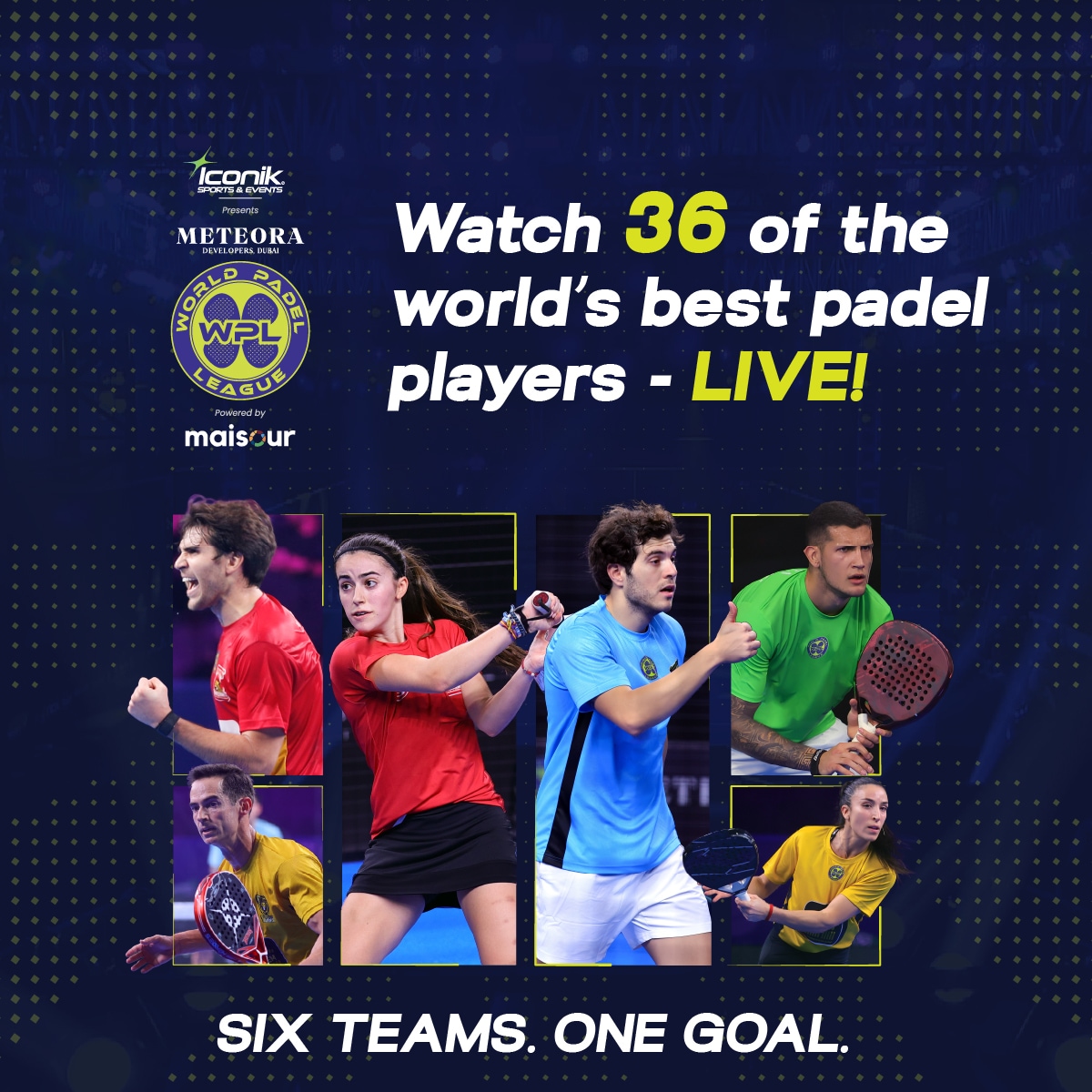 ipl logo