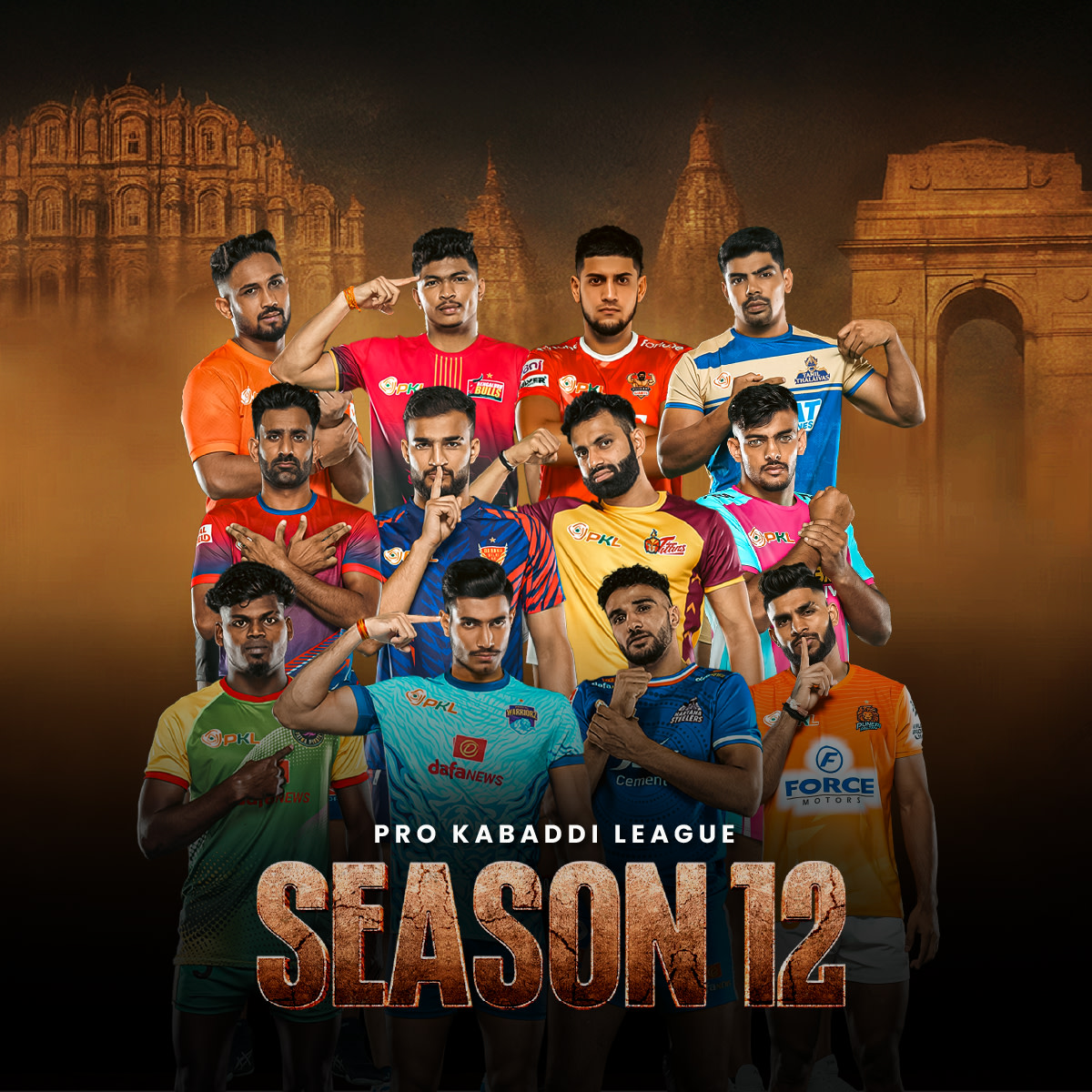 ipl logo