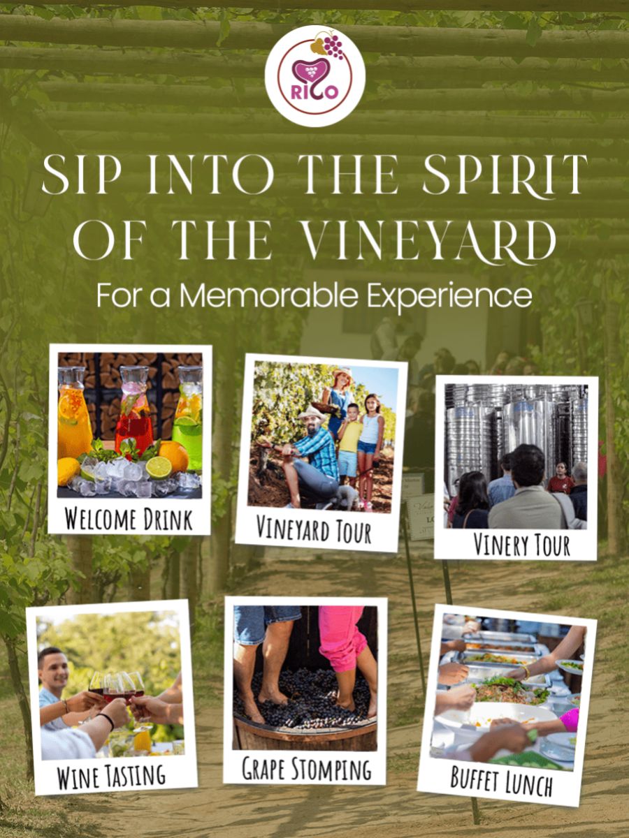 Rico Wine Tour