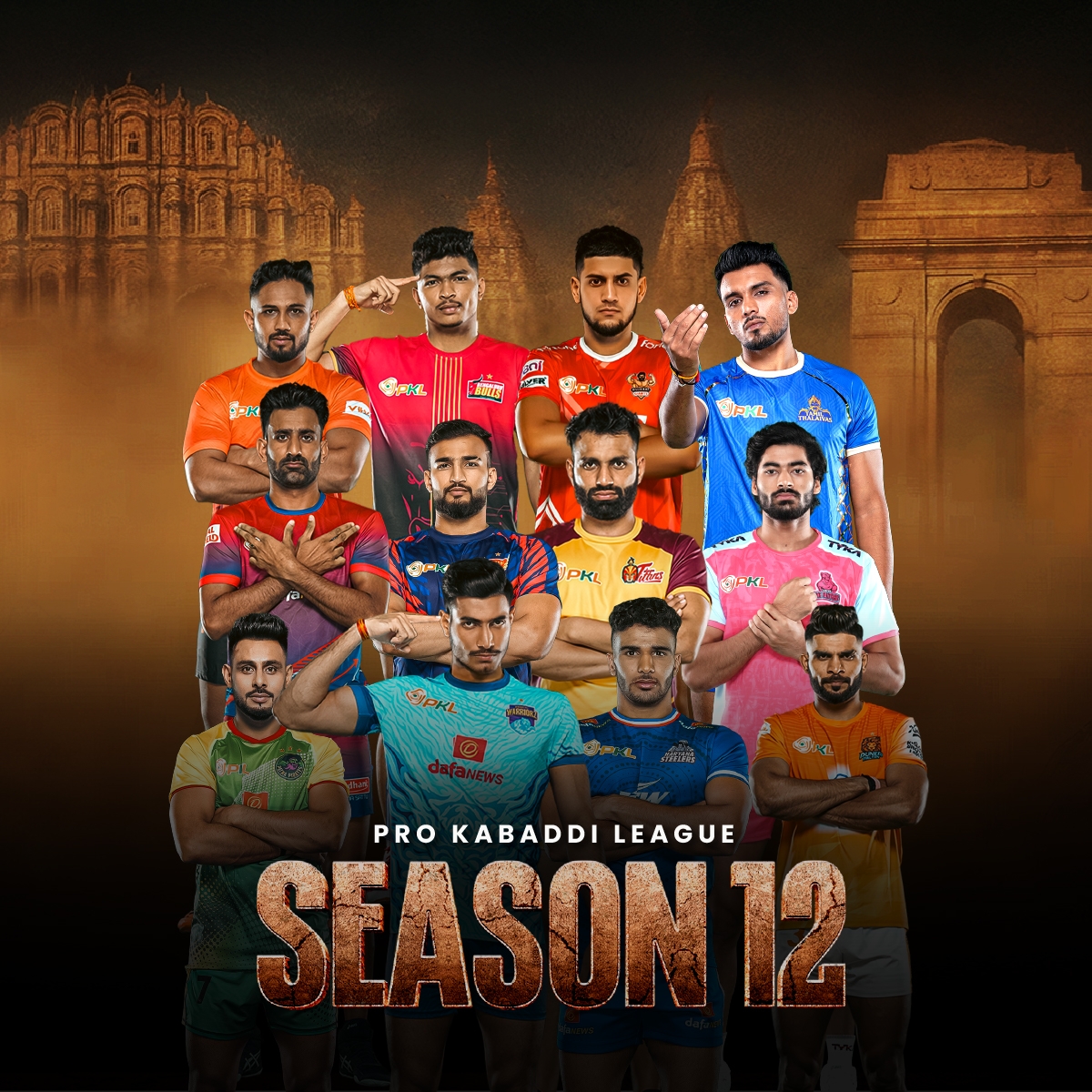 ipl logo