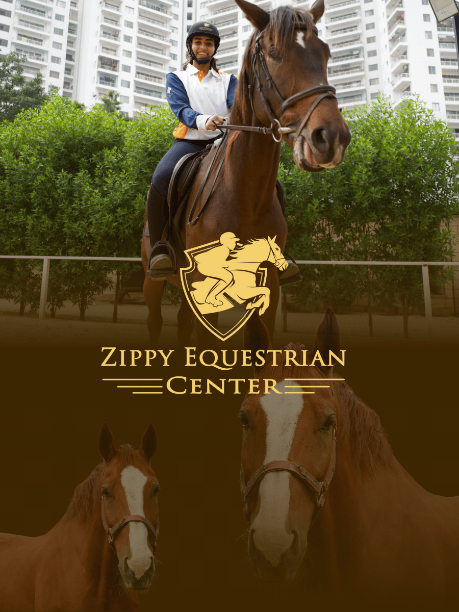 Horse Riding with Zippy | JP Nagar