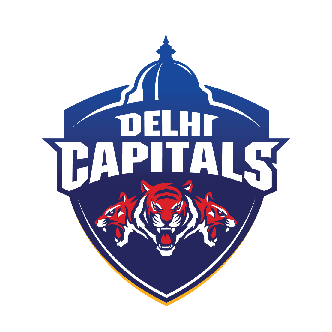 Delhi Capitals