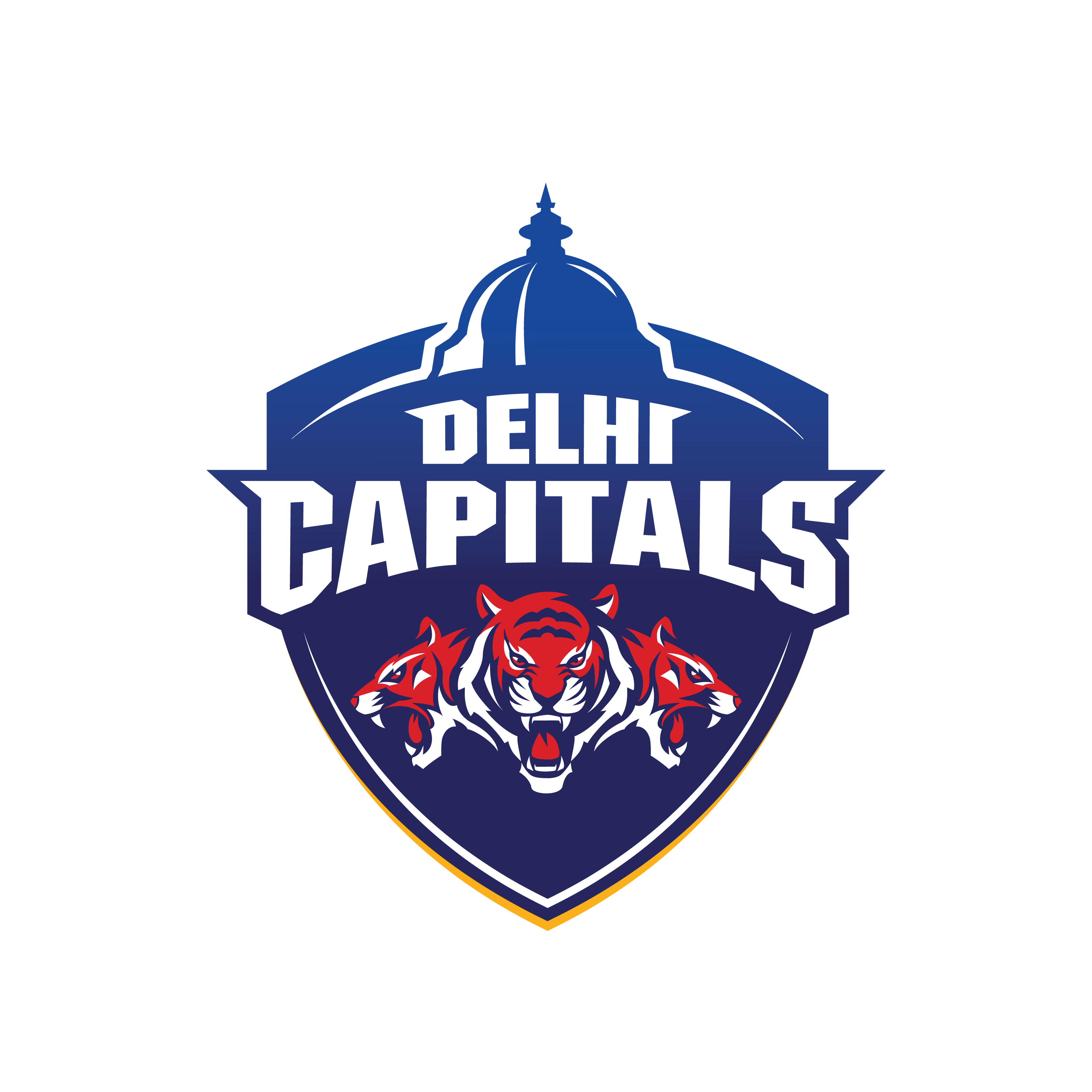 Delhi Capitals