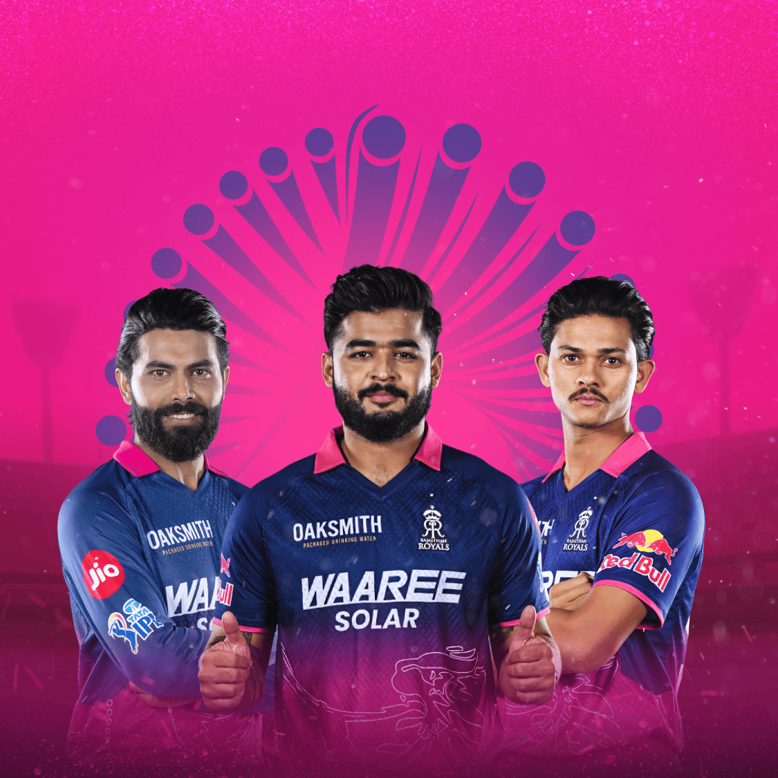 ipl logo