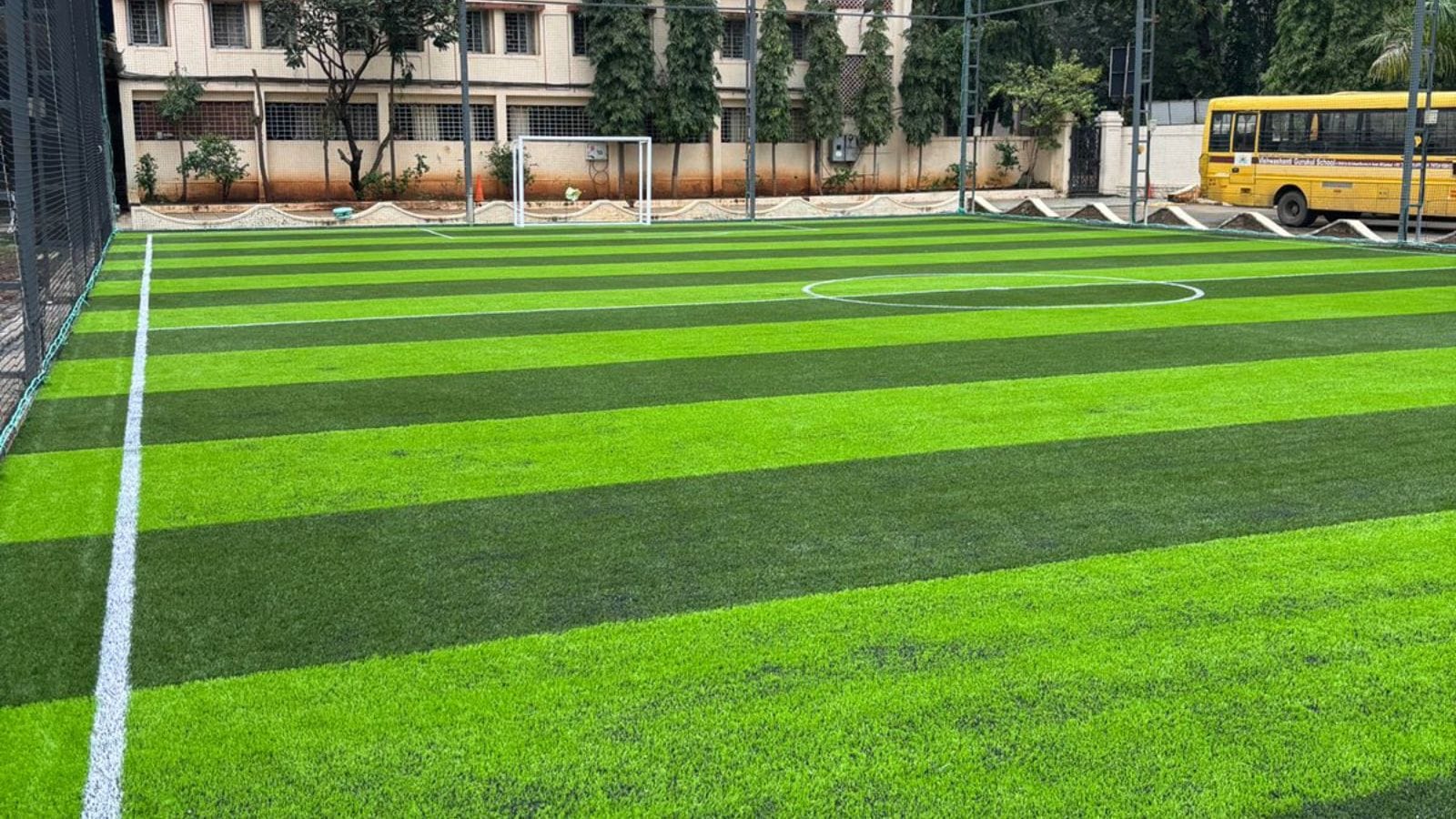Turf photo 7