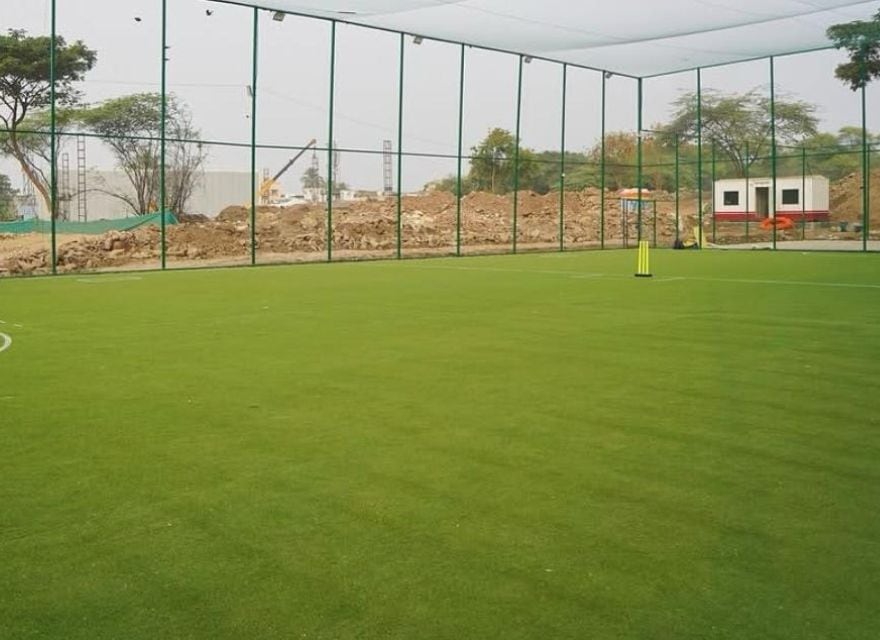 Turf photo 6