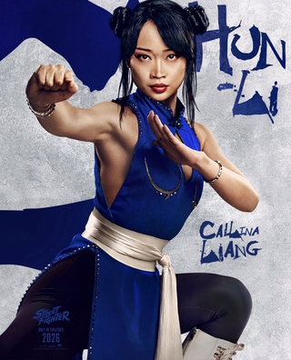 Street Fighter photo 3