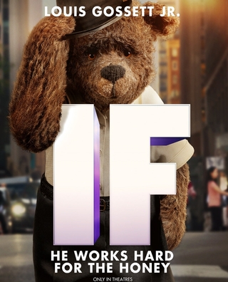 IF (2024) photo 4