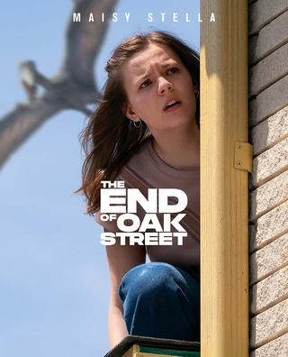The End of Oak Street photo 3