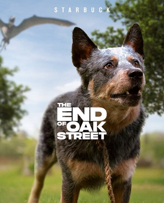 The End of Oak Street photo 5