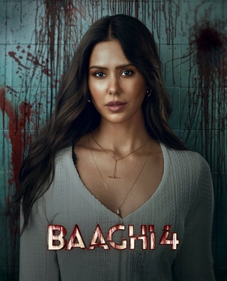Baaghi 4 photo 3