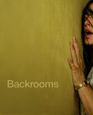 Backrooms photo 1