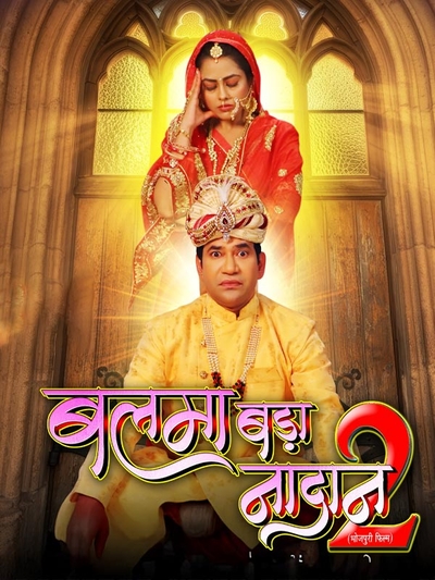 Balma Bada Nadaan 2 poster