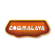 Cowmalya Theatre, Kozhinjampara