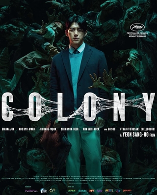 Colony photo 2