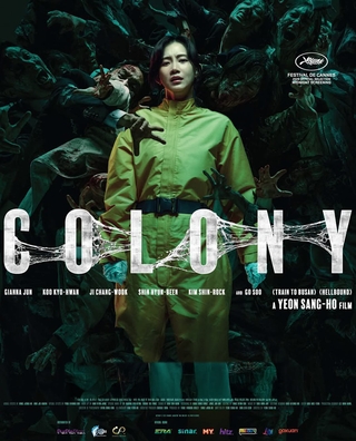 Colony photo 3
