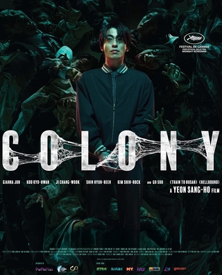 Colony photo 4