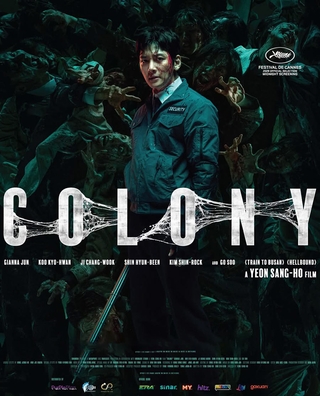 Colony photo 6