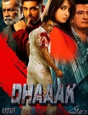 Dhaaak (2024)