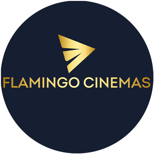 Flamingo Cinemas, Sunav Road, Petlad