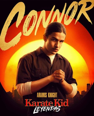 Karate Kid: Legends photo 5