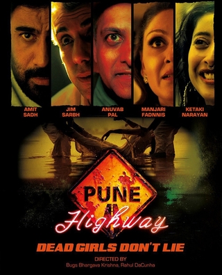Pune Highway photo 1