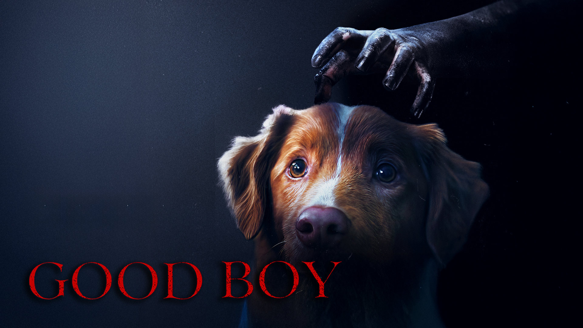 Good Boy Official Trailer (India)